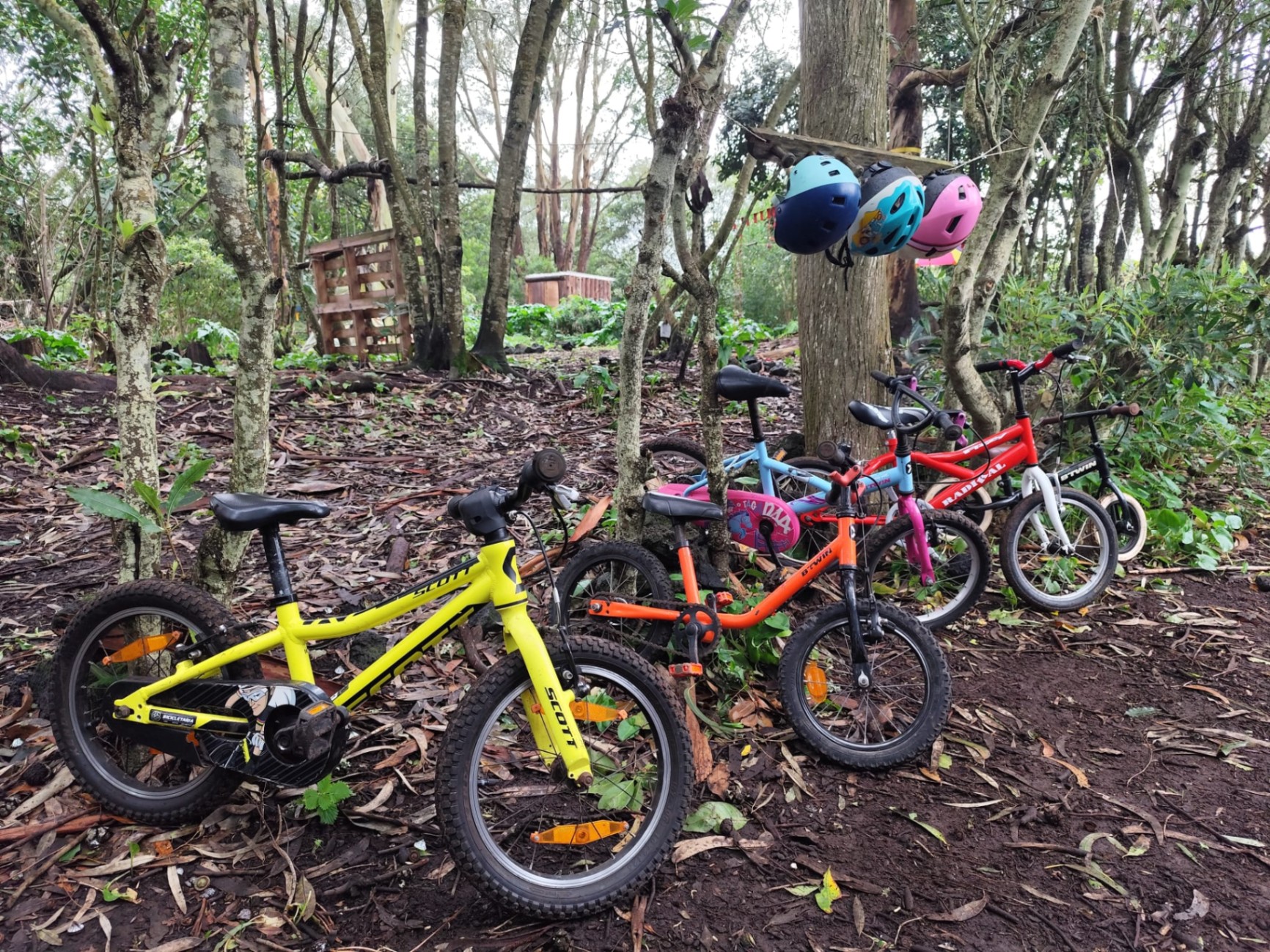 Bicicletas das crianças na mata